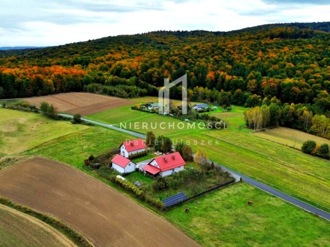 Obiekt agroturystyczny – dwa domy, Czermna