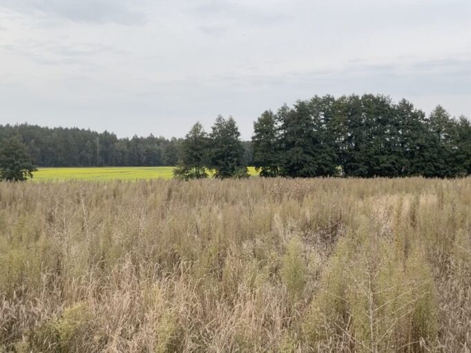 Piękna działka na wymarzony dom pod Poznaniem